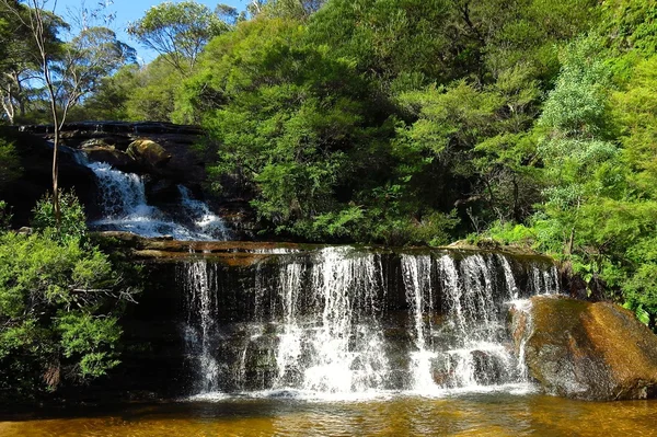 Blue Mountains National Park — Stock Photo, Image