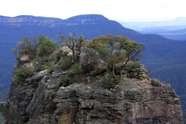 Blue Mountains National Park — Stock Photo, Image