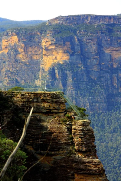 Blue Mountains National Park — Stock Photo, Image