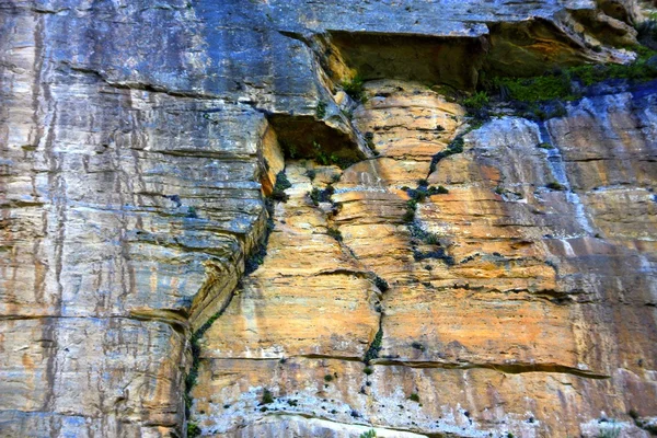 Blue Mountains National Park — Stock Photo, Image