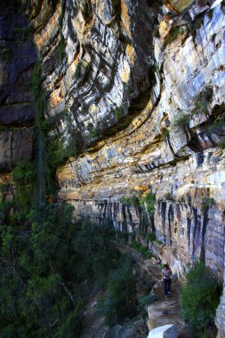 Blue Mountain Ulusal Parkı
