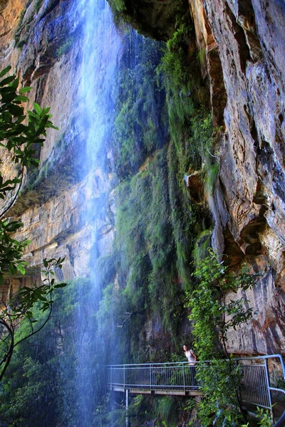 Parque Nacional Montañas Azules — Foto de Stock