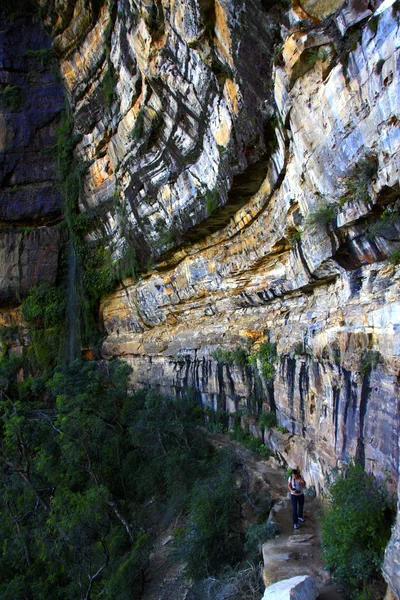 Parque nacional das montanhas azuis — Fotografia de Stock