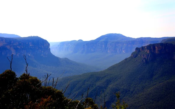 Taman nasional pegunungan biru — Stok Foto