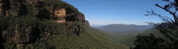 Blue Mountains National Park — Stock Photo, Image