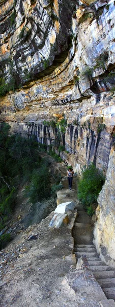 Parque nacional das montanhas azuis — Fotografia de Stock