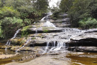 Blue Mountain Ulusal Parkı