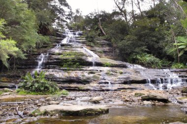 Blue Mountain Ulusal Parkı