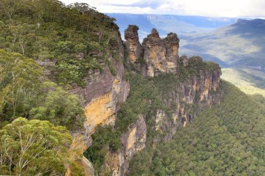 Blue Mountain Ulusal Parkı