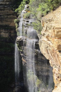 Blue Mountain Ulusal Parkı