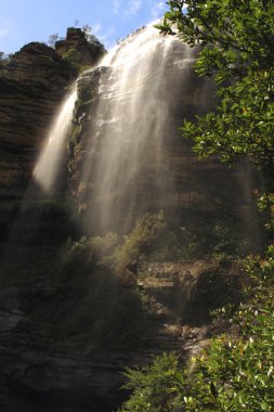 Blue Mountain Ulusal Parkı