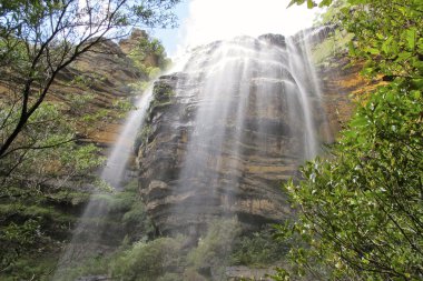Blue Mountain Ulusal Parkı