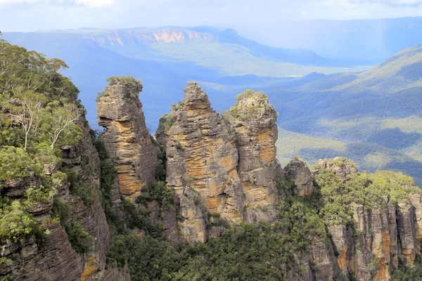 Blue Mountains National Park — Stock Photo, Image