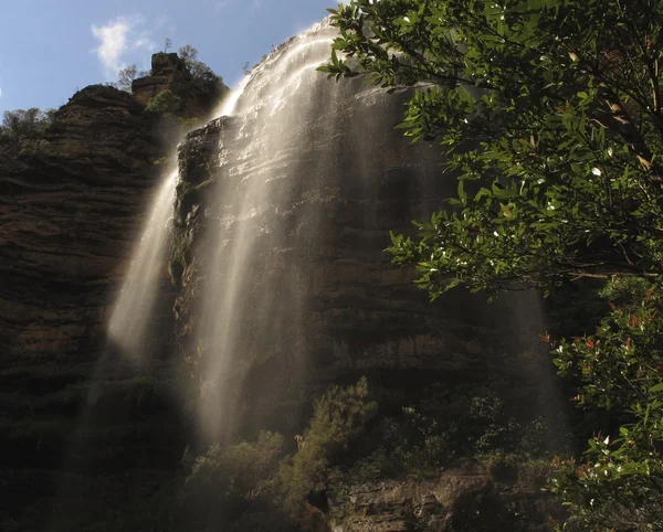 Blue Mountains National Park — Stock Photo, Image