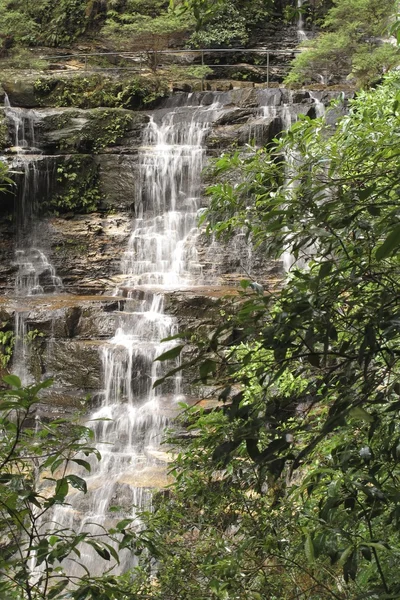 Parque nacional das montanhas azuis — Fotografia de Stock