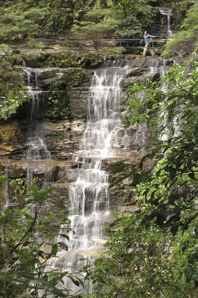 Parque nacional das montanhas azuis — Fotografia de Stock