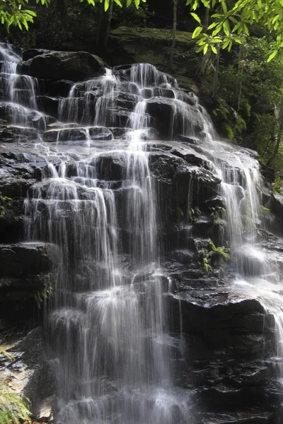 Parque nacional das montanhas azuis — Fotografia de Stock