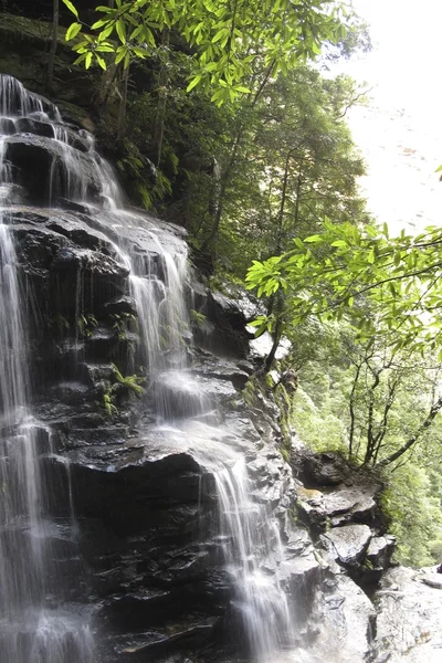 Parque nacional das montanhas azuis — Fotografia de Stock