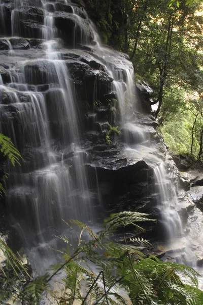 Parque nacional das montanhas azuis — Fotografia de Stock