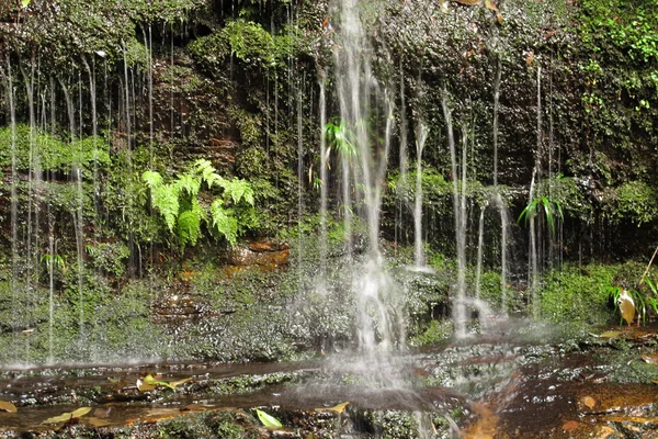 Parque nacional das montanhas azuis — Fotografia de Stock