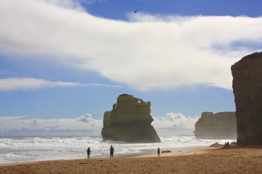 Bağlantı noktası Campbell Milli Parkı, Great Ocean Road, Avustralya