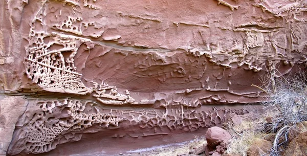 Honeycomb Gorge, Parque Nacional Kennedy Range, Australia Occidental —  Fotos de Stock