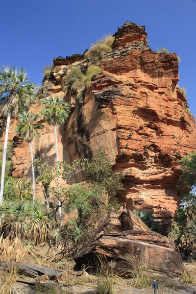 Gregory nationalpark, nordens territorium, australien — Stockfoto