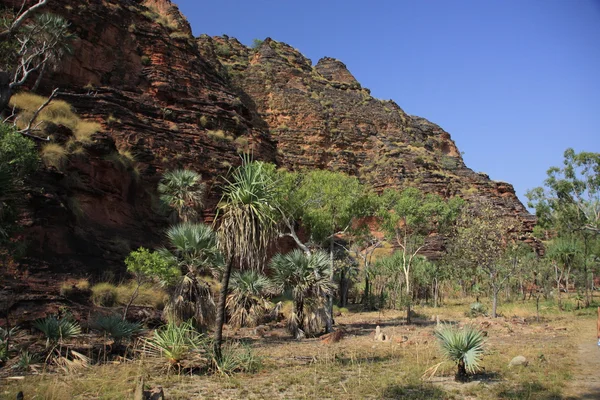 Parque Nacional Gregory, Territorio del Norte, Australia — Foto de Stock