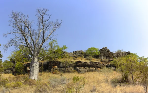 Gregory národní Park, Severní Territory, Austrálie — Stock fotografie