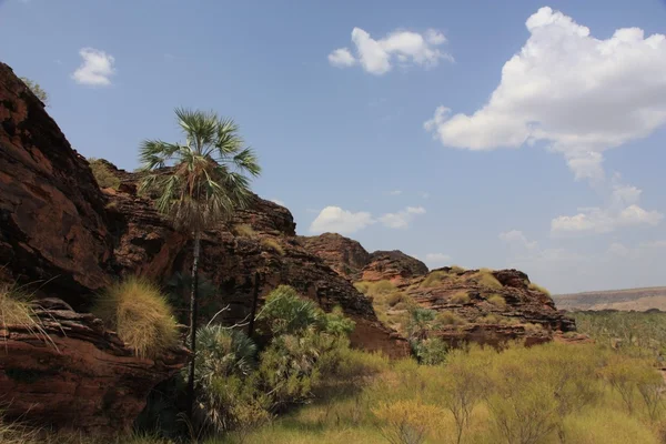 Mantenga el Parque Nacional River — Foto de Stock