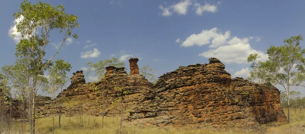 Zachovat river national park — Stock fotografie