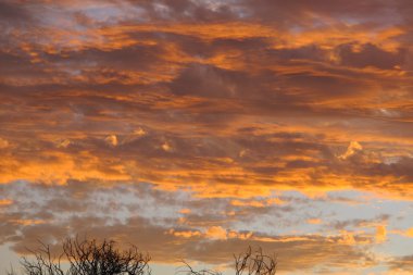 Günbatımı Cape aralığı Milli Parkı, Batı Avustralya