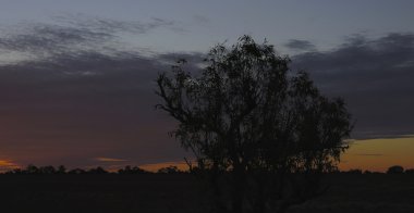 Günbatımı Cape aralığı Milli Parkı, Batı Avustralya