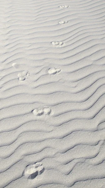 Шаблон песка — стоковое фото