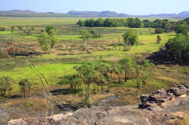 profil ubirr, kakadu Ulusal Parkı, Avustralya