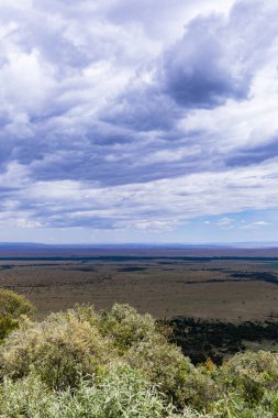 Bulutlu bir günde Güney Afrika savanının manzarası