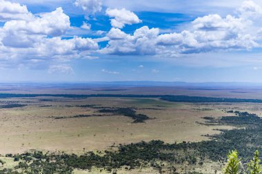 Savananın ovadaki manzarası, Kenya