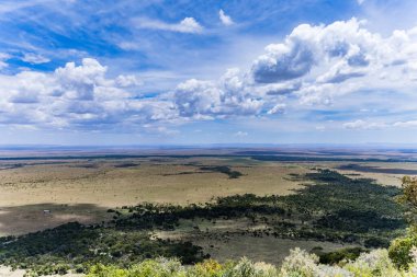 Afrika savanının mavi gökyüzü manzarası