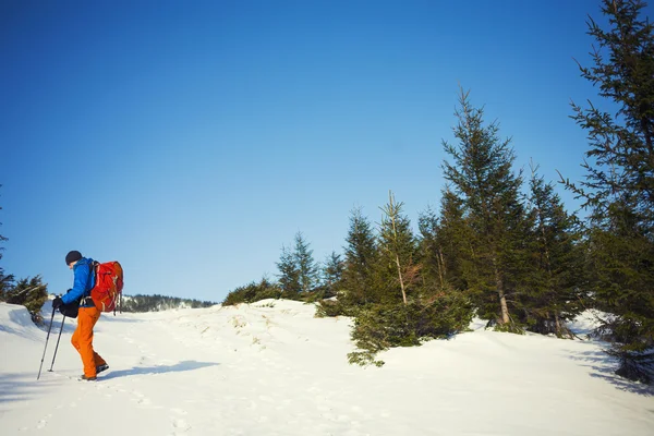 Ο ορειβάτης πηγαίνει στην πλαγιά χιόνι. — Φωτογραφία Αρχείου