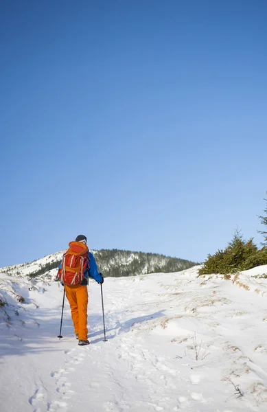 Альпинист идет по снежному склону . — стоковое фото