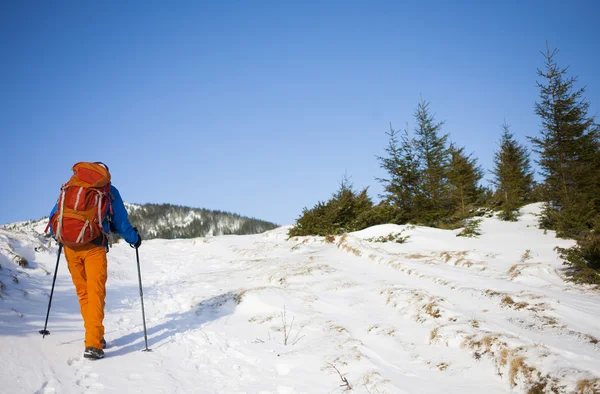 雪の斜面に行く登山者. — ストック写真