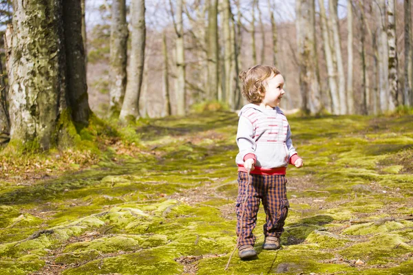 El niño con los palos para caminar . — Foto de Stock