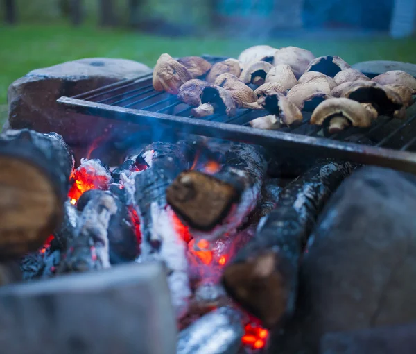 Bir kamp ateşi üzerinde pişirilmiş mantar. — Stok fotoğraf