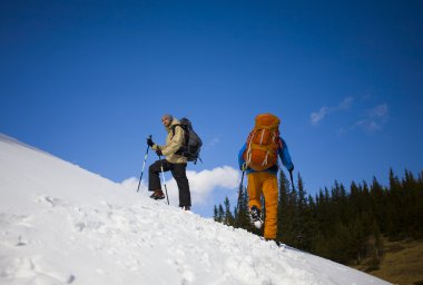 Dağlarda iki dost..