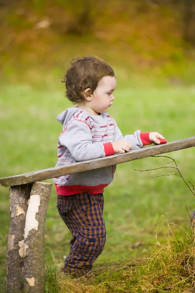 Little boy playing near the logs. — Stock Photo, Image