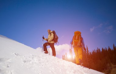 Dağlarda iki dost..