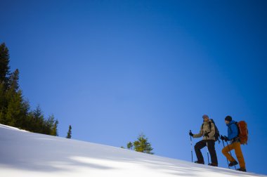 Dağlarda iki dost..