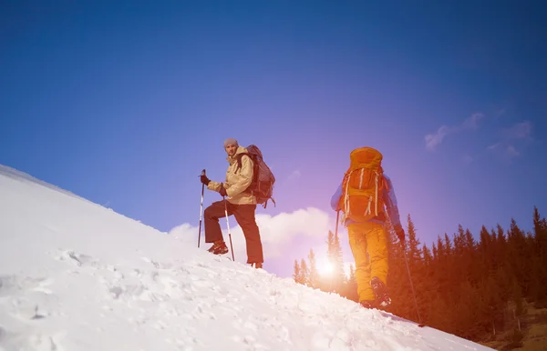 Dos amigos en las montañas . — Foto de Stock