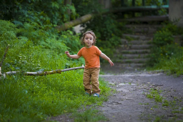 Little walks in the garden. — Stock Photo, Image