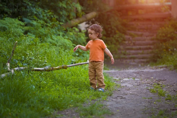 Pequeños paseos por el jardín . —  Fotos de Stock